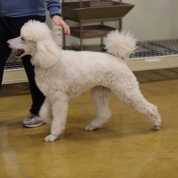 photograph by PeterW